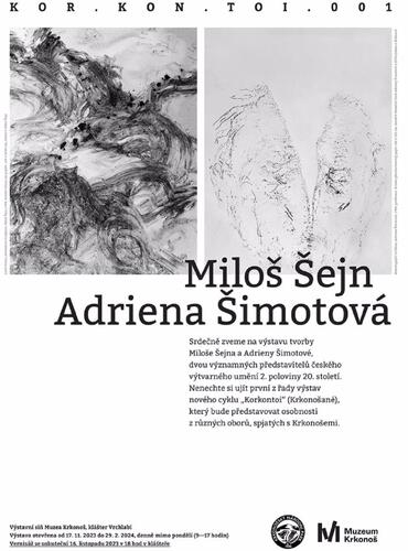 Miloš Šejn / Adriena Šimotová