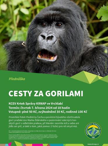 Cesta za gorilami