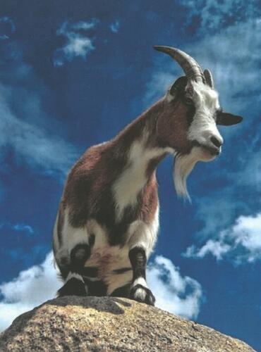 Sorry, že mám rád hory