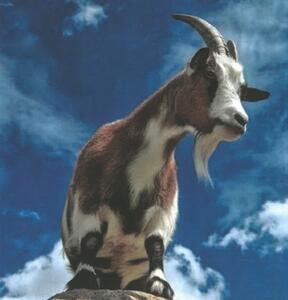 Sorry, že mám rád hory